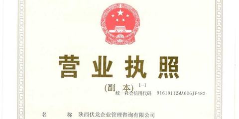 陜西伏龍企業管理咨詢 賦能企業，驅動增長