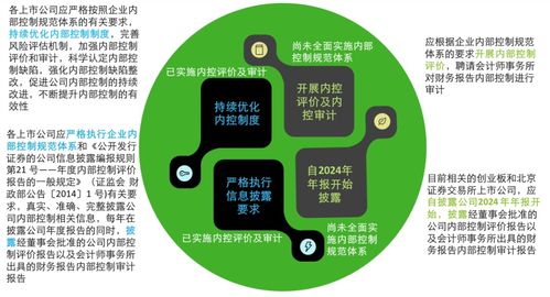 德勤解析《關(guān)于強化上市公司及擬上市企業(yè)內(nèi)部控制建設(shè) 推進內(nèi)部控制評價和審計的通知》要點及企業(yè)管理咨詢啟示