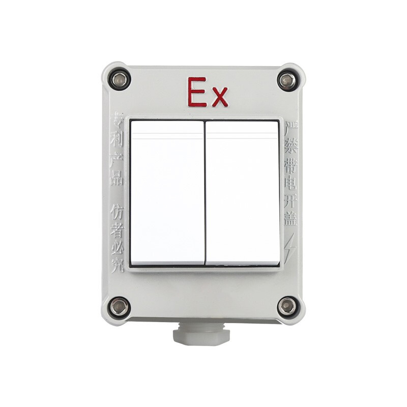 專業(yè)解析 工業(yè)級(jí)防爆照明開關(guān)——安全、可靠、多功能的電氣控制核心